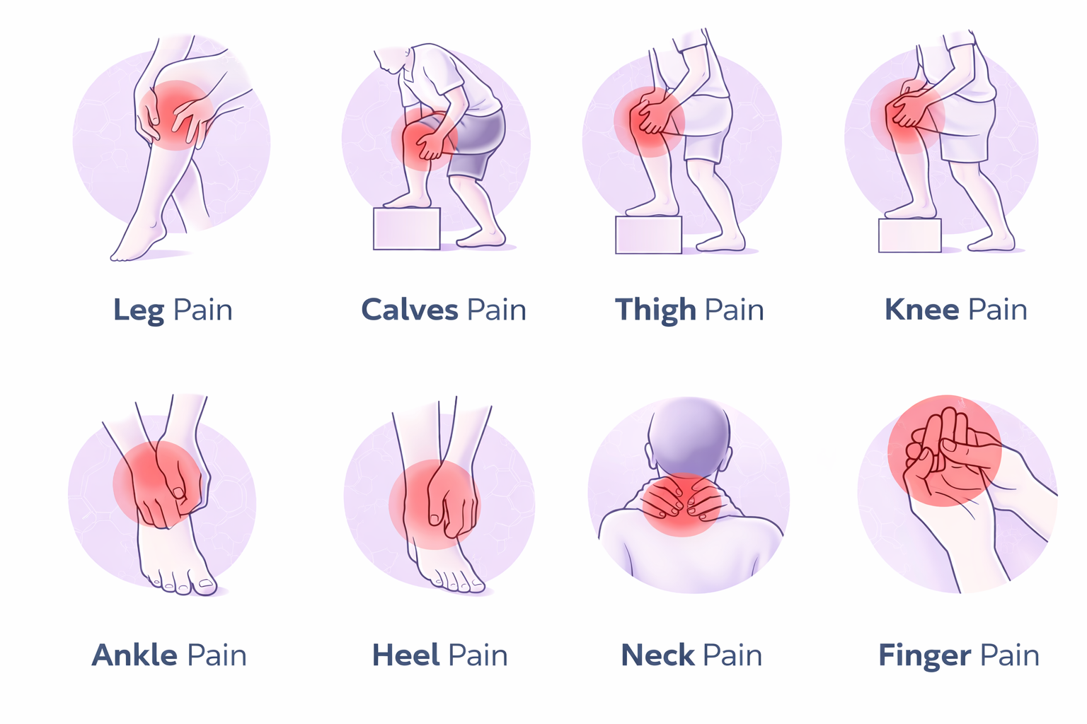 SEAGRIL™ Bee Venom Joint Repair Balm